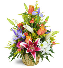 Stargazer Blessings Basket™