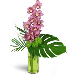 Blushing Grace Orchids™