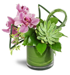 Pink Splendor Vase™