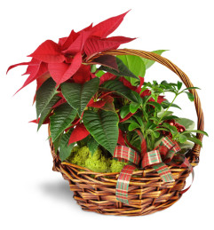 Holiday Basket of Cheer™