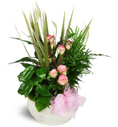 Sweet Memories Sympathy Planter™