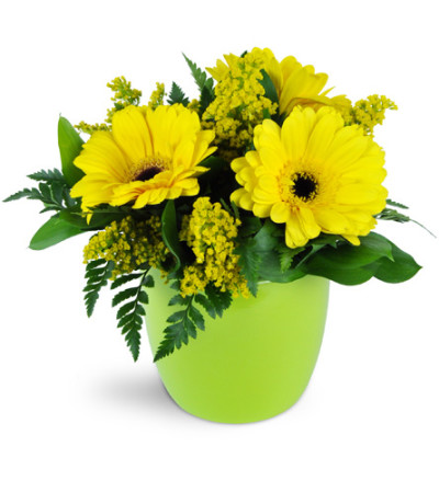 Morning Sunbeam Daisy Vase™