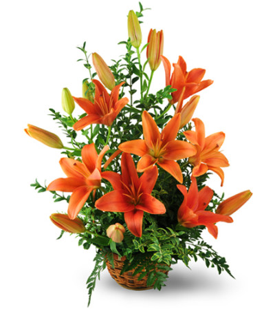 Asiatic Lily Basket