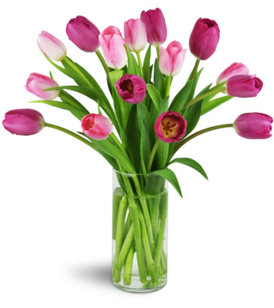 Perfect Pink Tulips™