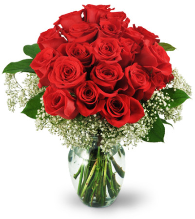 Two Dozen Red Roses