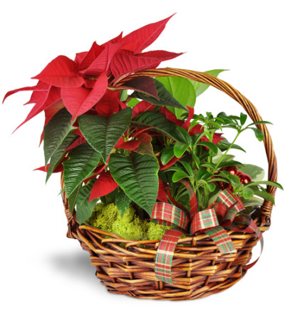 Holiday Basket of Cheer™