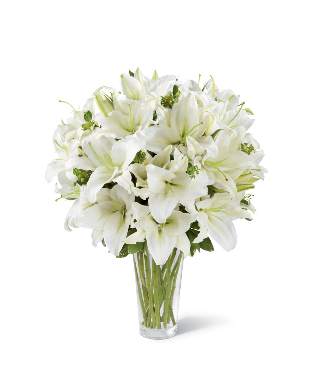 Flowers Brampton, ON Florist