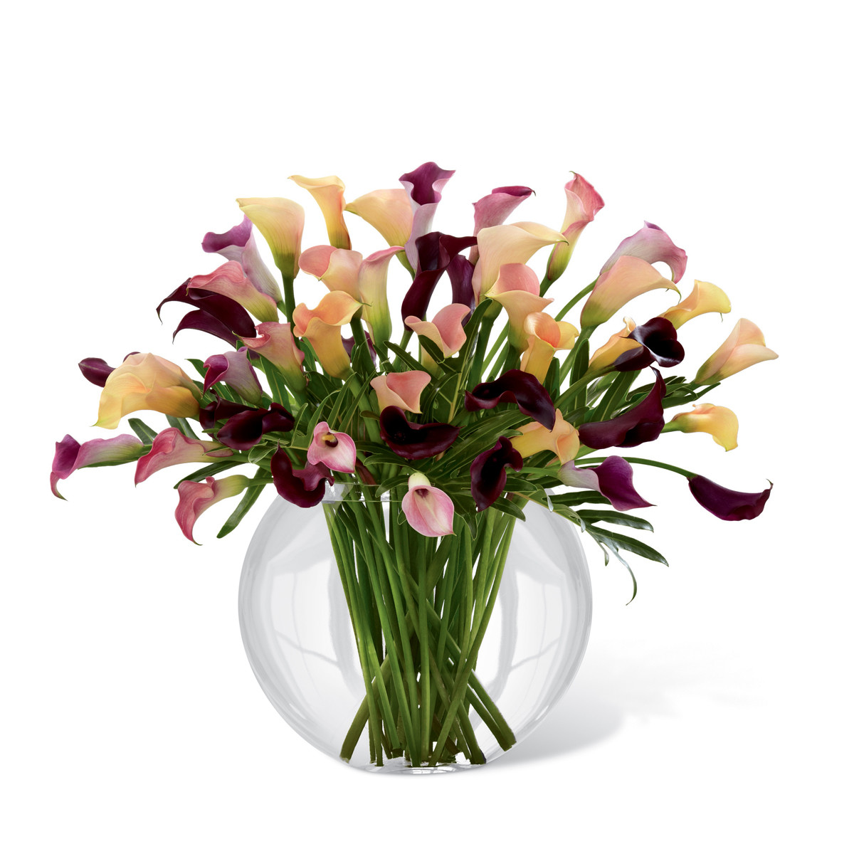 Flowers Richmond Hill, ON Florist