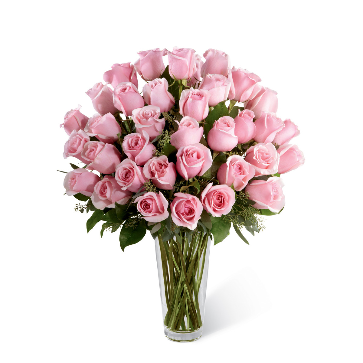 Floral Symphony: 12 Exquisite Roses Within Your Reach