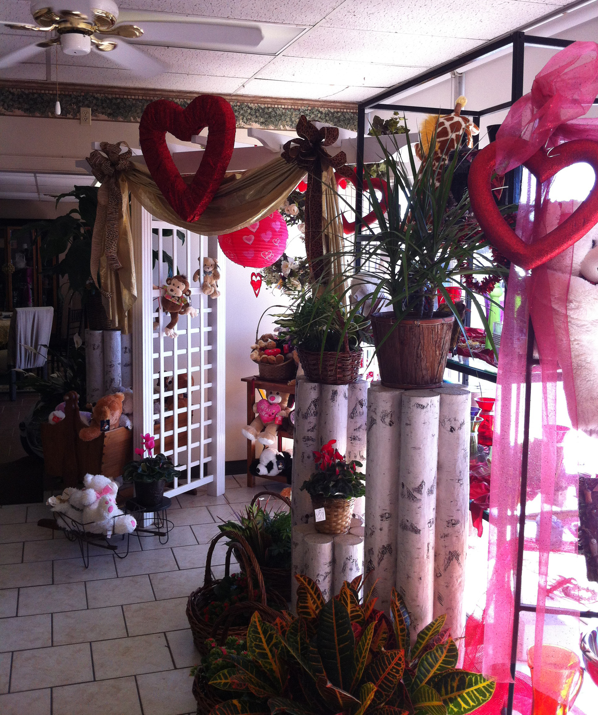 About Oak Hills Florist San Antonio TX Florist
