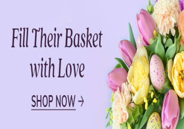 Illusion Flower Shop