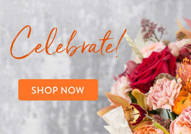 Bridgeport Ct Florist Free Flower Delivery In Bridgeport Ct Fruits Flowers