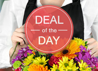 Bell Gardens Florist Free Same Day Delivery In Bell Gardens