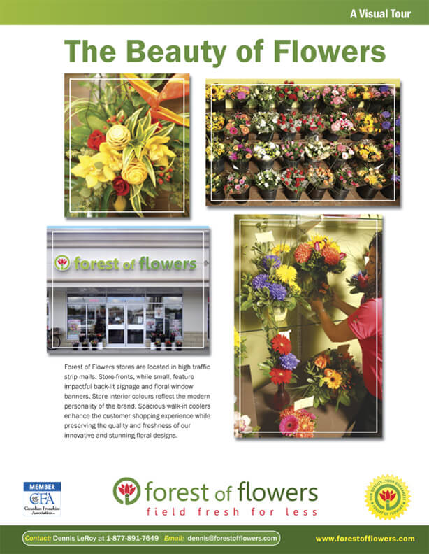 Forest of Flowers SAMEDAY Flower Delivery in London ON London ON
