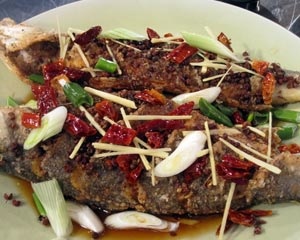 Sichuan influenced wok fried fish | Good Food Channel