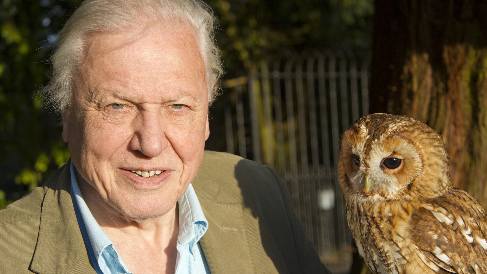 Featured Animals | David Attenborough's Natural Curiosities | W Channel