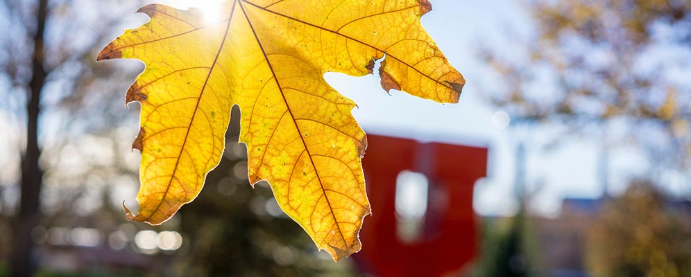 University Of Utah Fall 2021 Calendar | Calendar June 2021