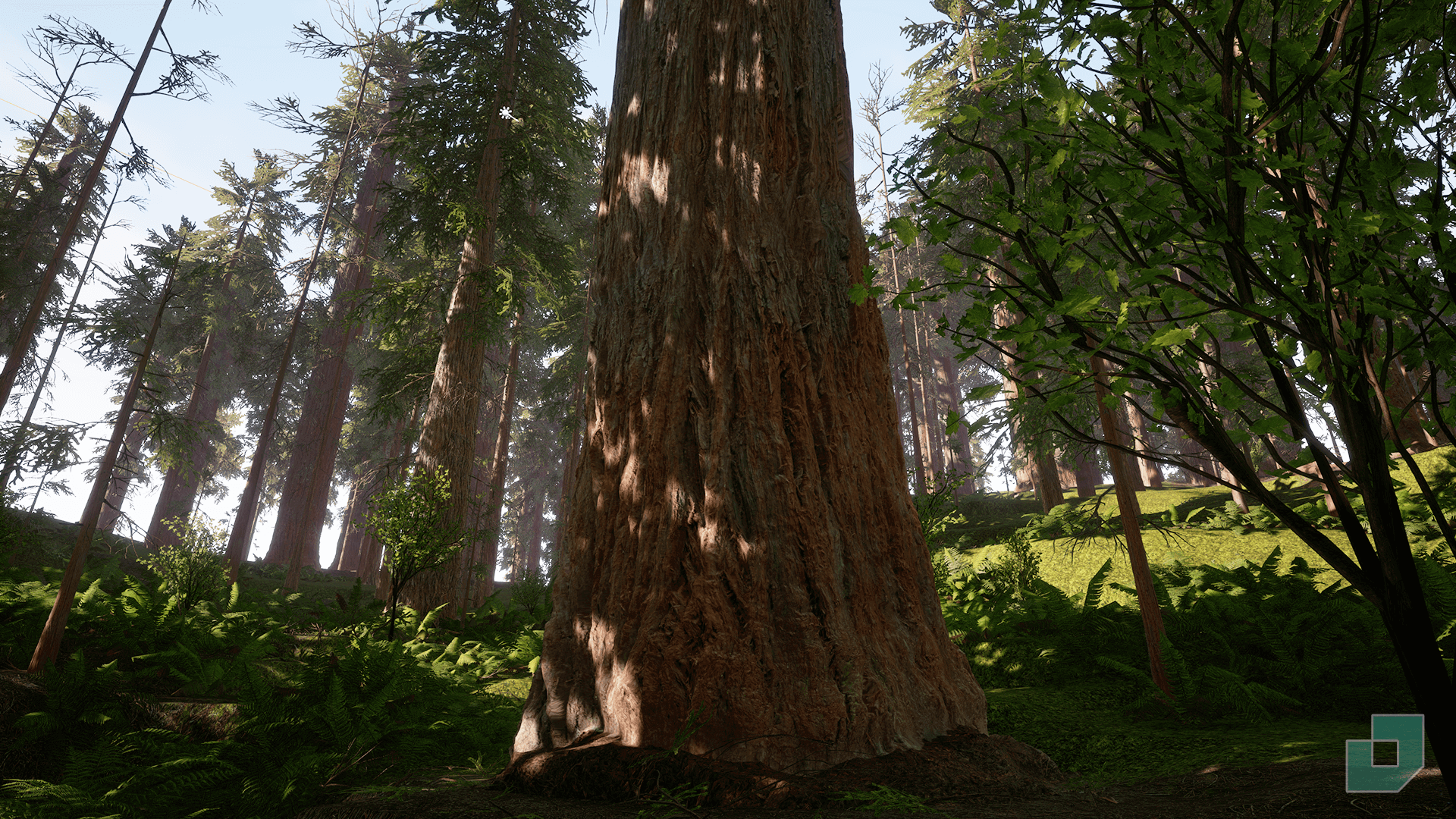 unreal engine marketplace - redwood forest (4.19)