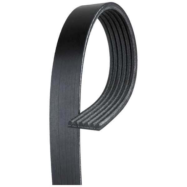 Gates® K060882 Serpentine Belt Vbelt, Direct Fit, Sold individually