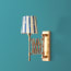 Tina wall fixture in antique brass