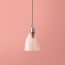 Tiny Qilin pendant shade in clear glass