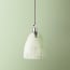 Smaller Qilin pendant shade in clear glass