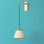 Swinger wall fixture in antiqued brass