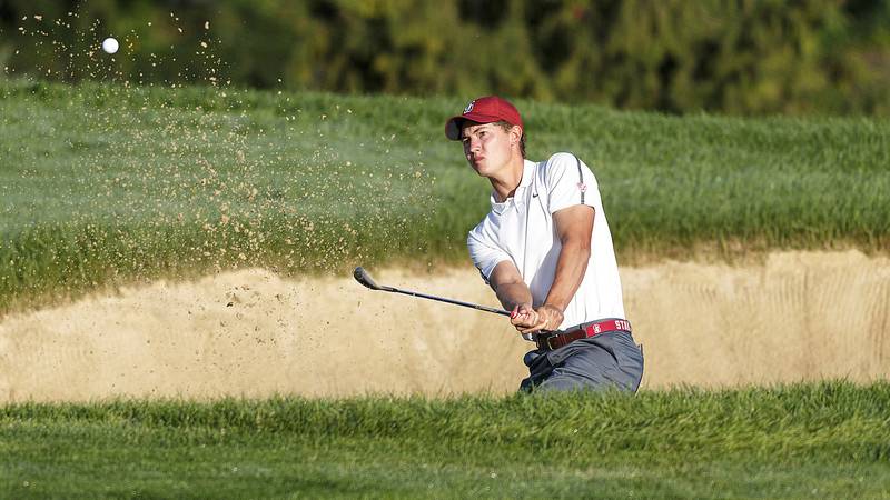 Britney head image shaved spear 2009 world amateur golf rankings
