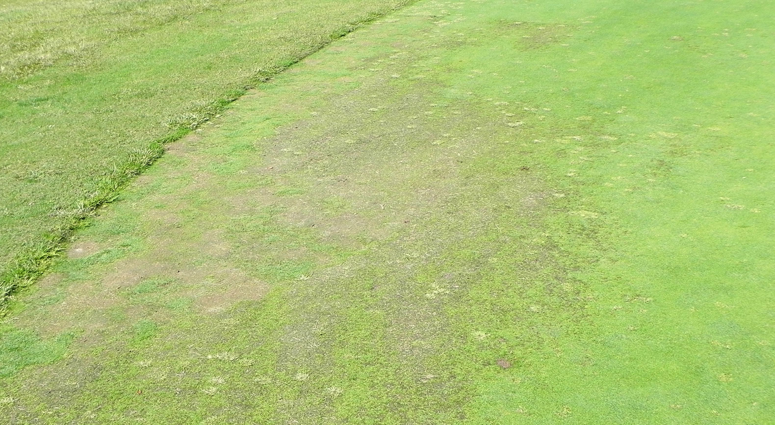 Putting Greens Are Like Your Golf Game