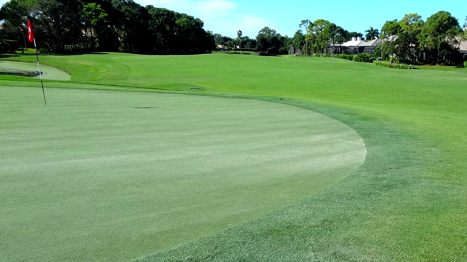 The Benefits Of Sand Topdressing