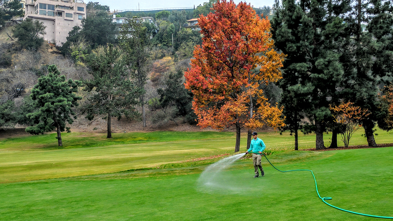 Why Are Putting Greens Watered During The Day?