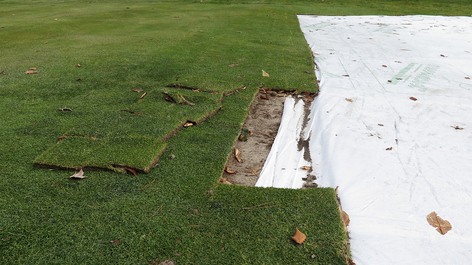 Keeping Greens Dry In Winter