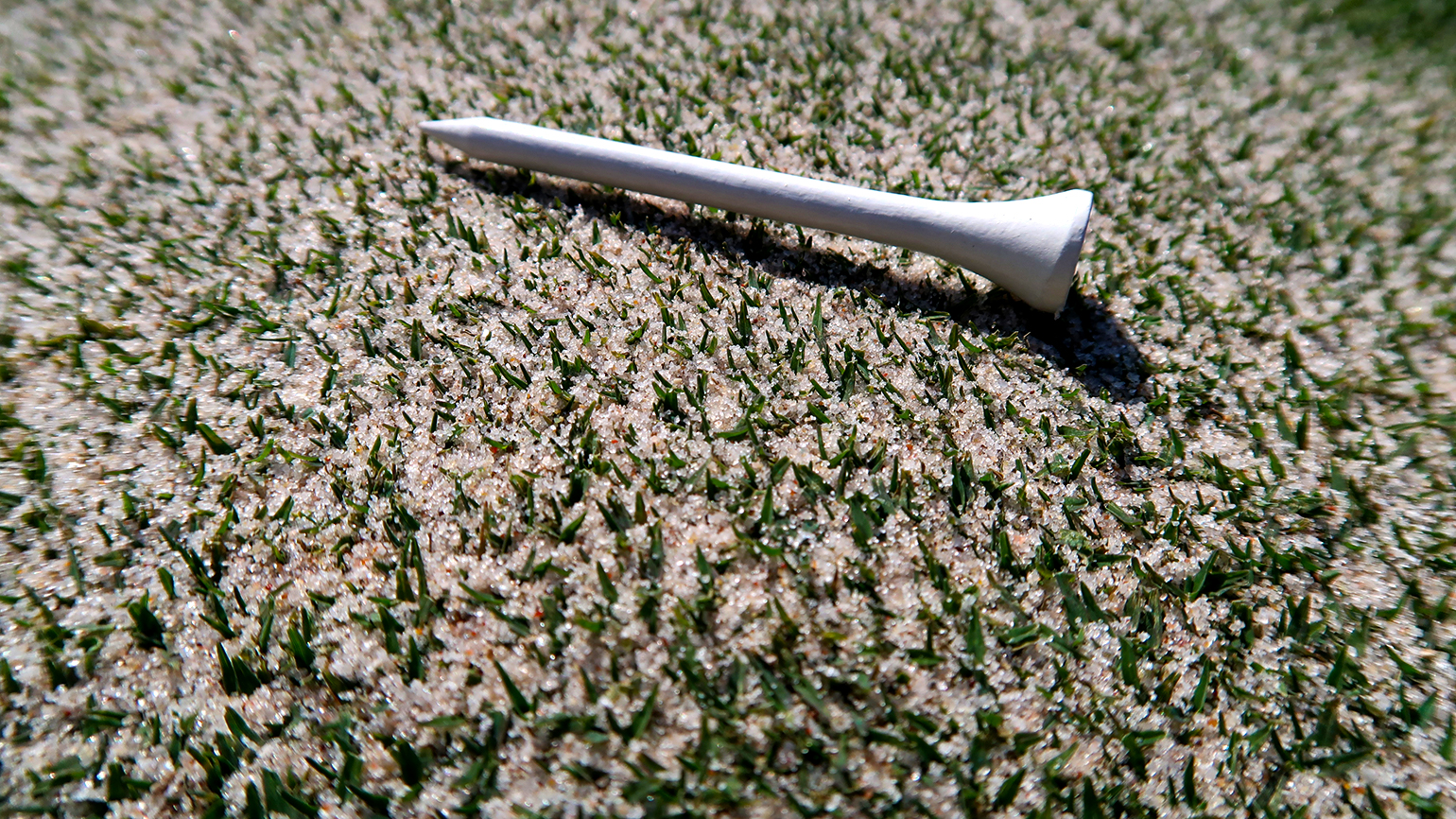 green emerald velvet dress Amazon.com : Green Silica Sand for Infill, Lawn Leveling, Putting Greens, Top  Dressing, Divot Repair, Artificial Turf and Landscaping, Long Lasting Color  USGA Specification (50 lb. Bag) : Patio, Lawn & Garden