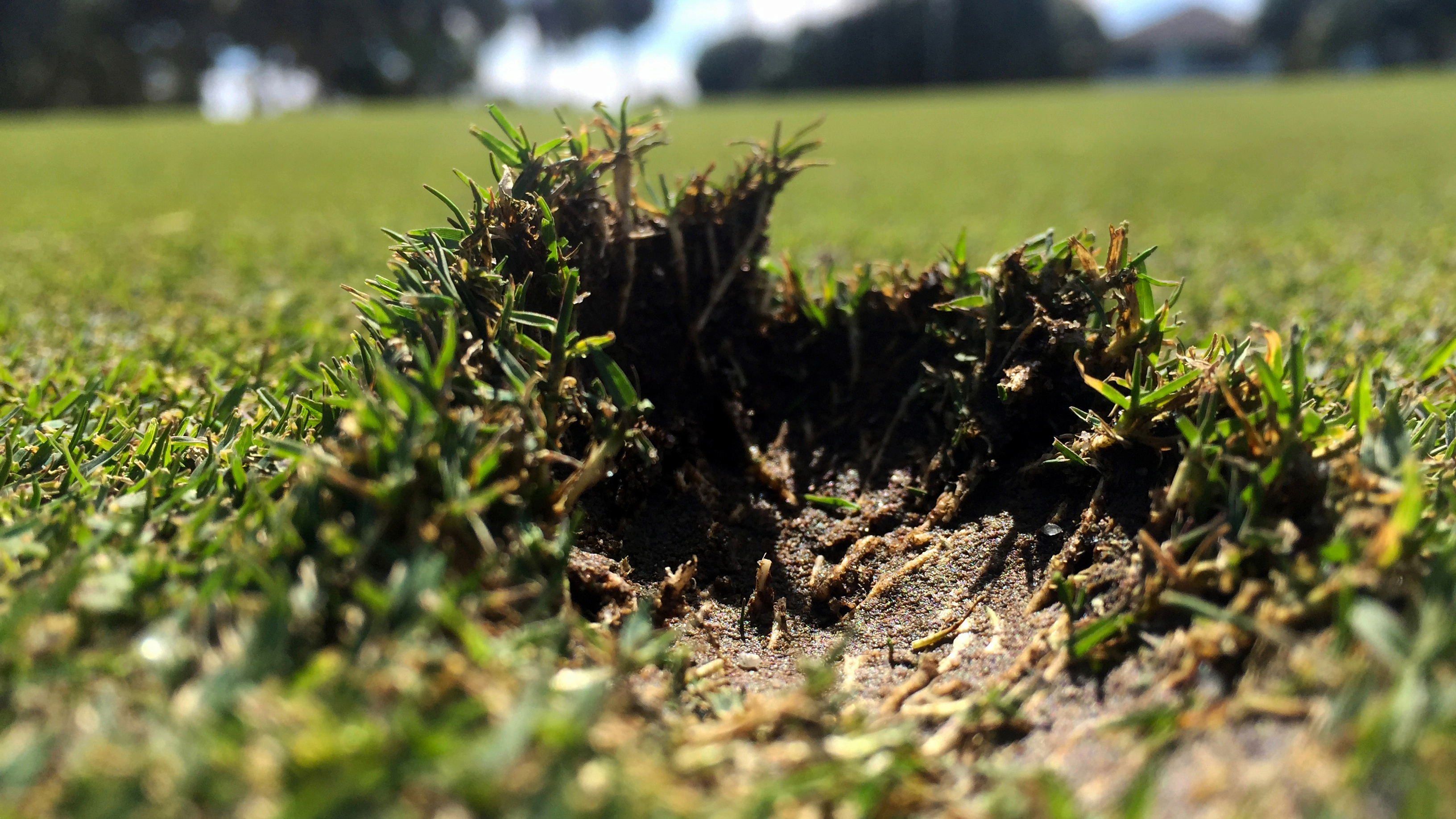 Repairing Ball Marks: 5 Things Every Golfer Should Know