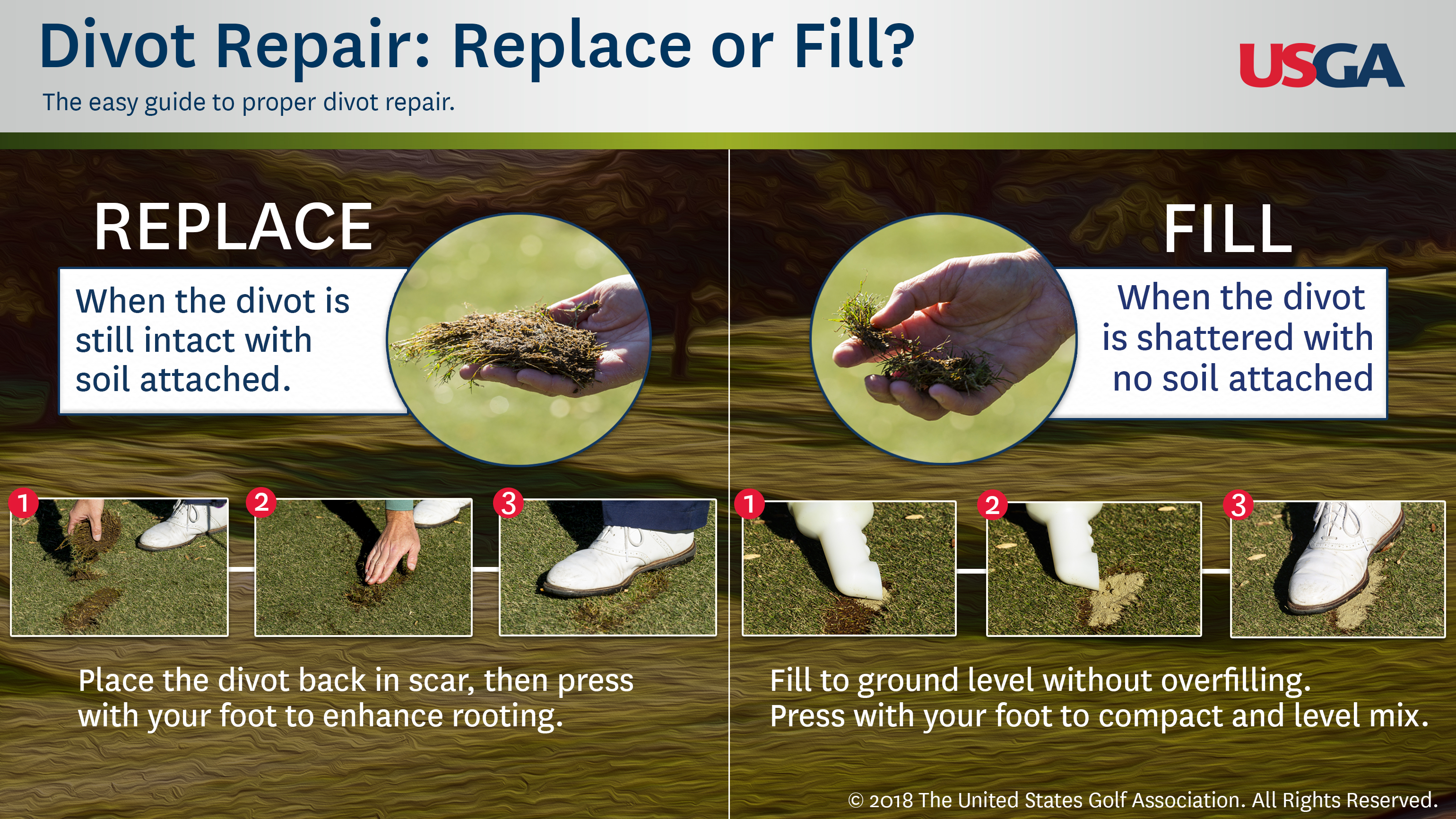 Infographic Divot Repair Replace or Fill?