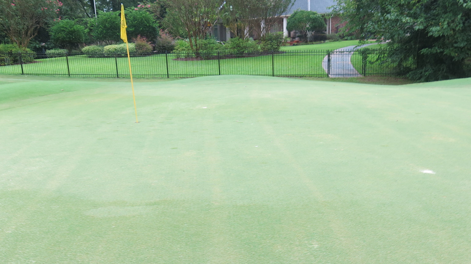 What Causes Splotchy Colors On Putting Greens?