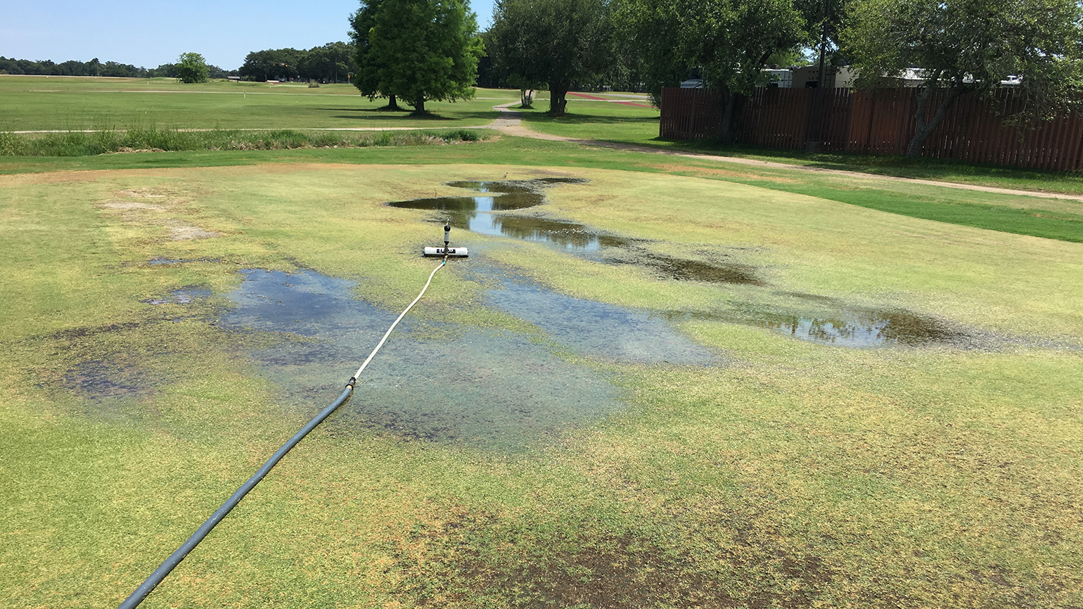 Five Reasons For Putting Green Renovation