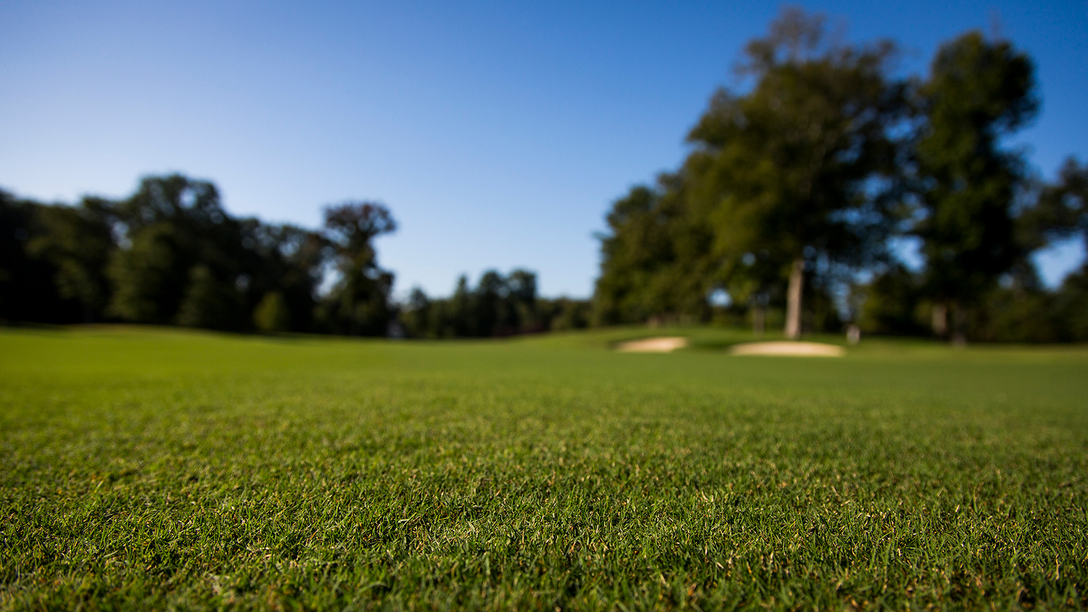 Finding The Right Fairway Height