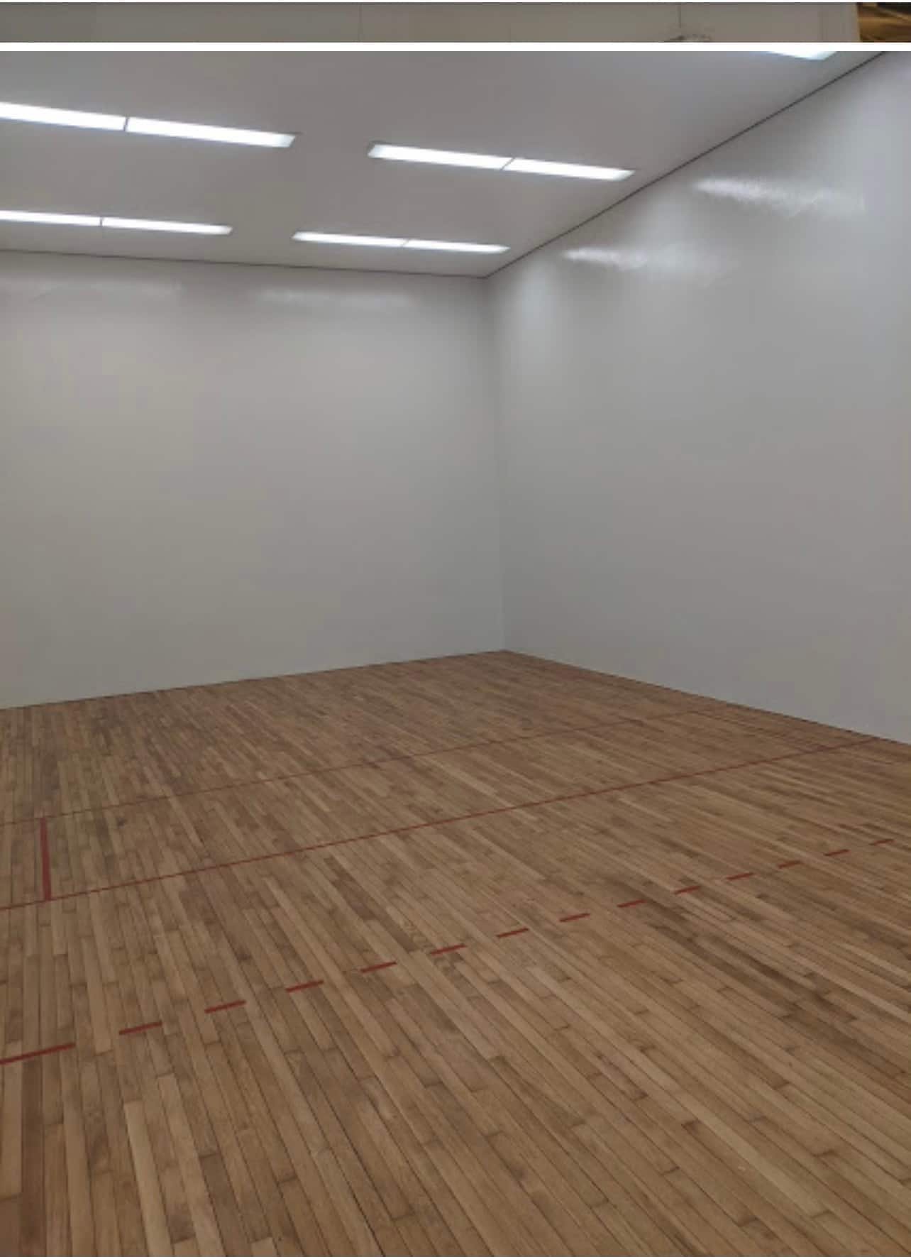 The Brand-New (100% Virtual) Honolulu Racquetball Club!