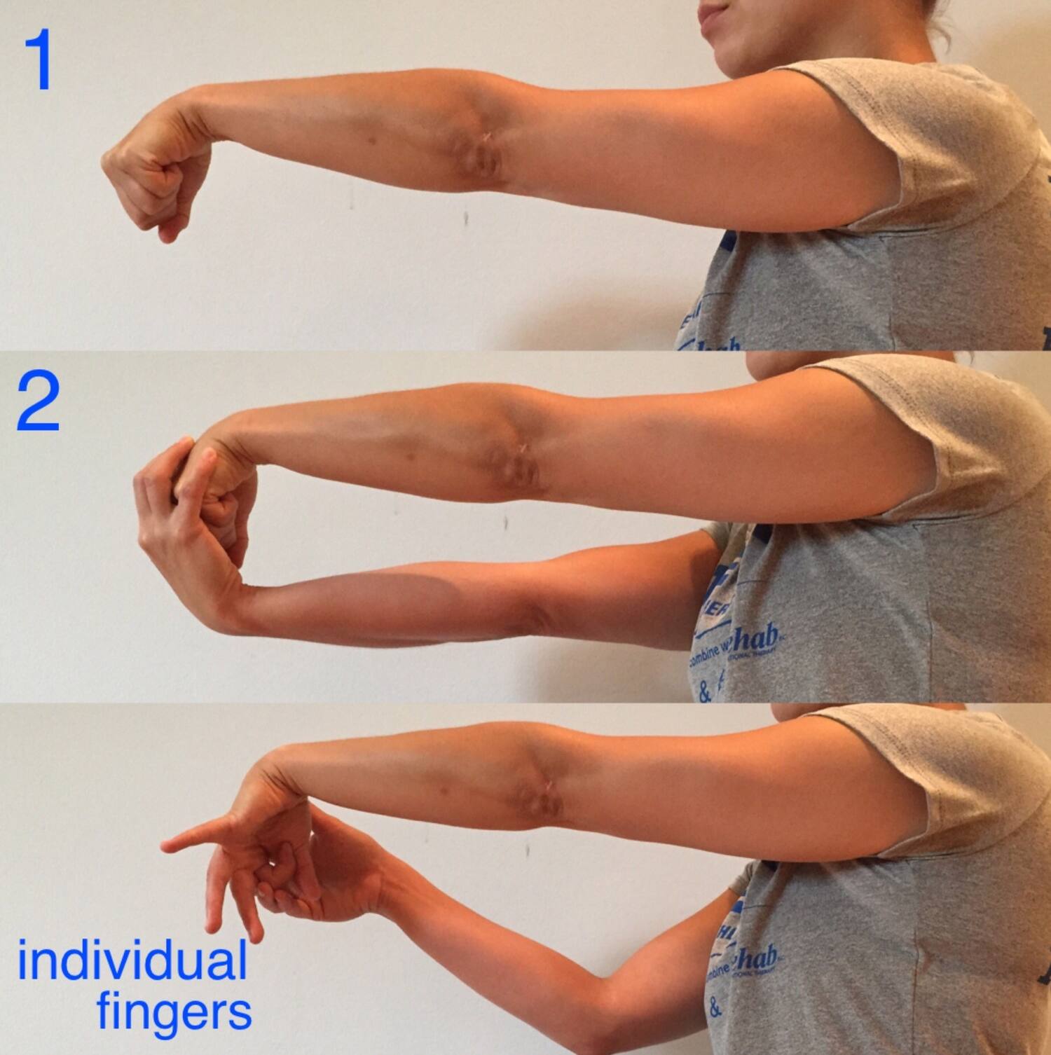 Wrist Flexion Stretch