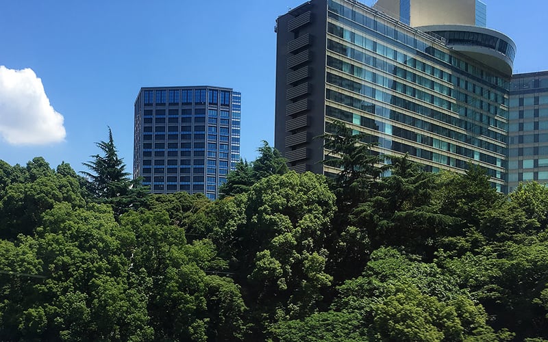 Trees of Tokyo2020