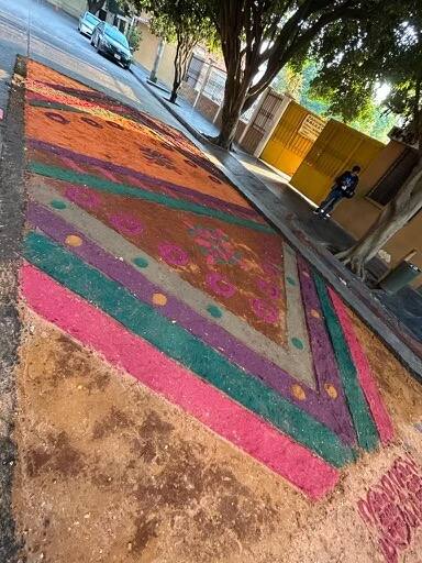 Sawdust carpets at the 2023 Pan American Racquetball Championships