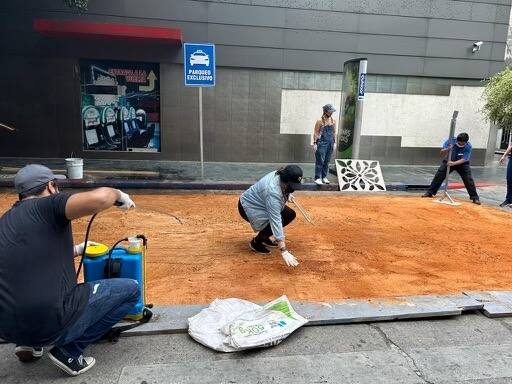 Sawdust carpets at the 2023 Pan American Racquetball Championships
