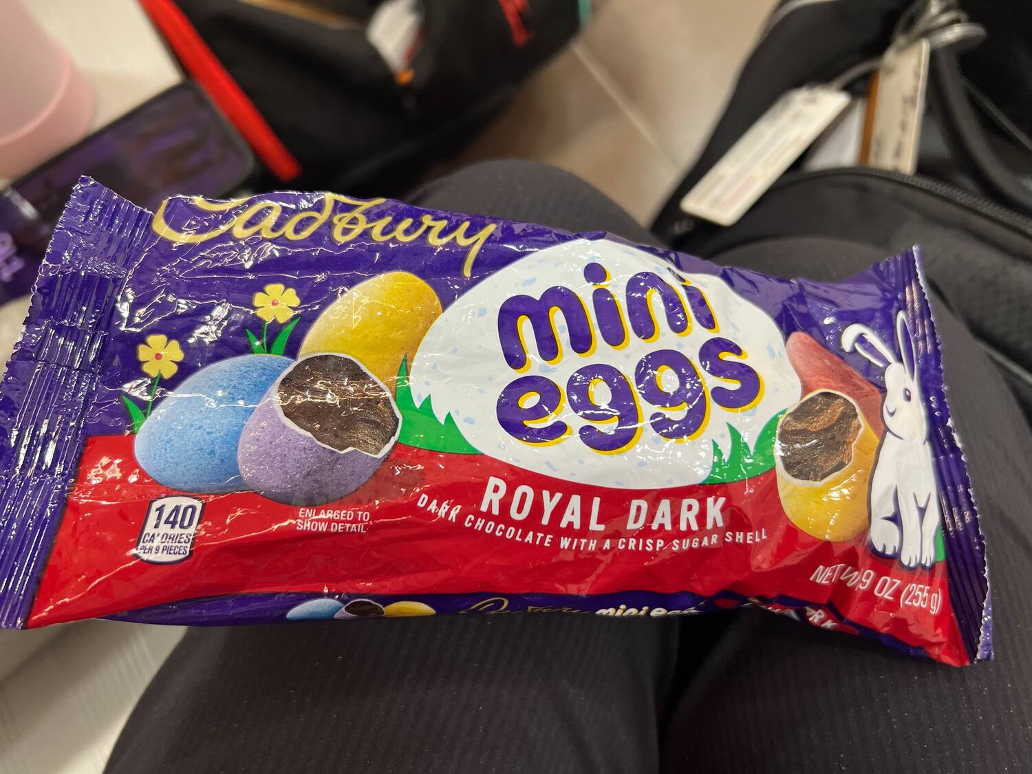 Mini Eggs at the XXXIV Pan American Racquetball Championships