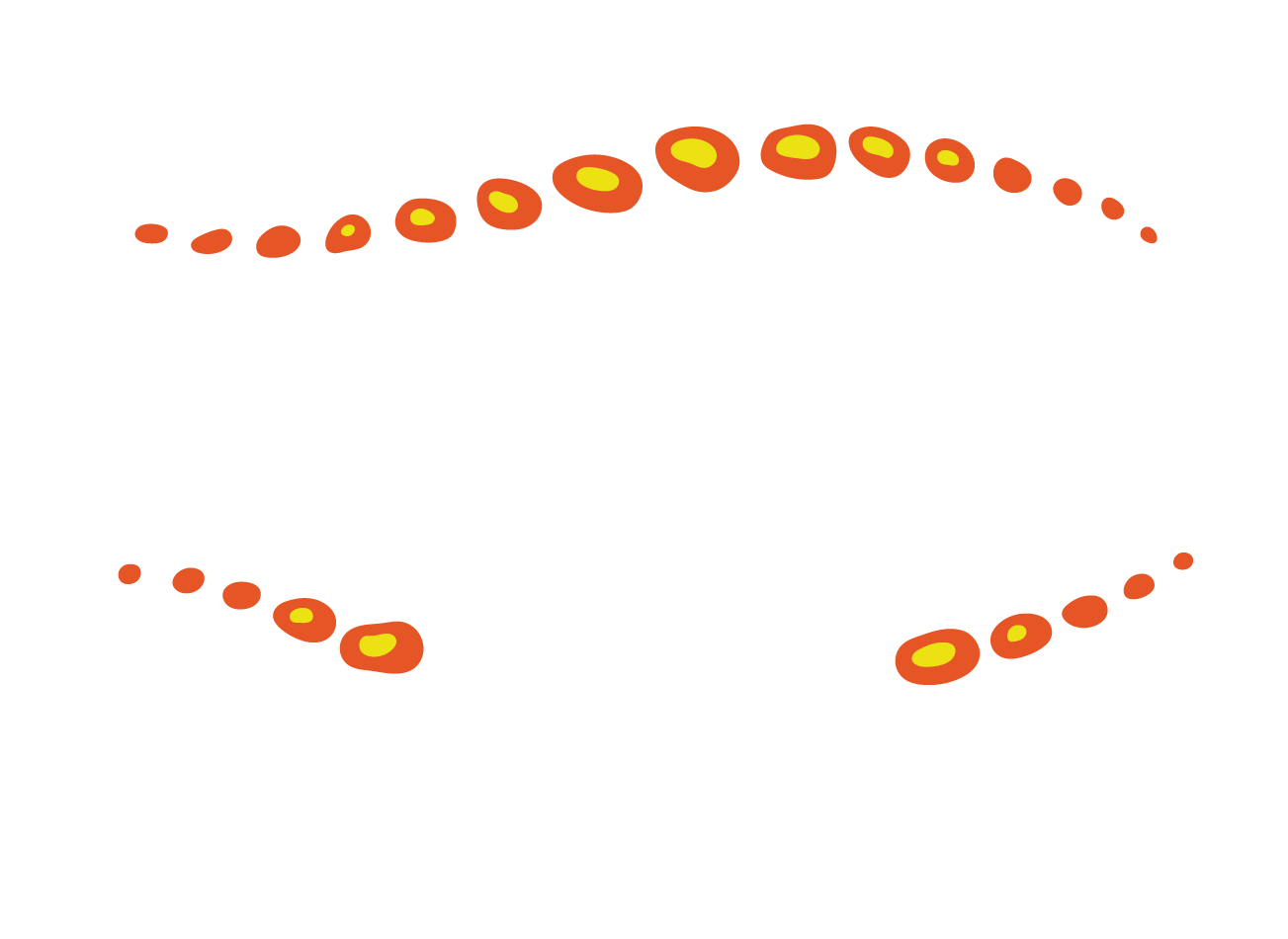 HOKA Ultra-Trail Australia™ by UTMB®