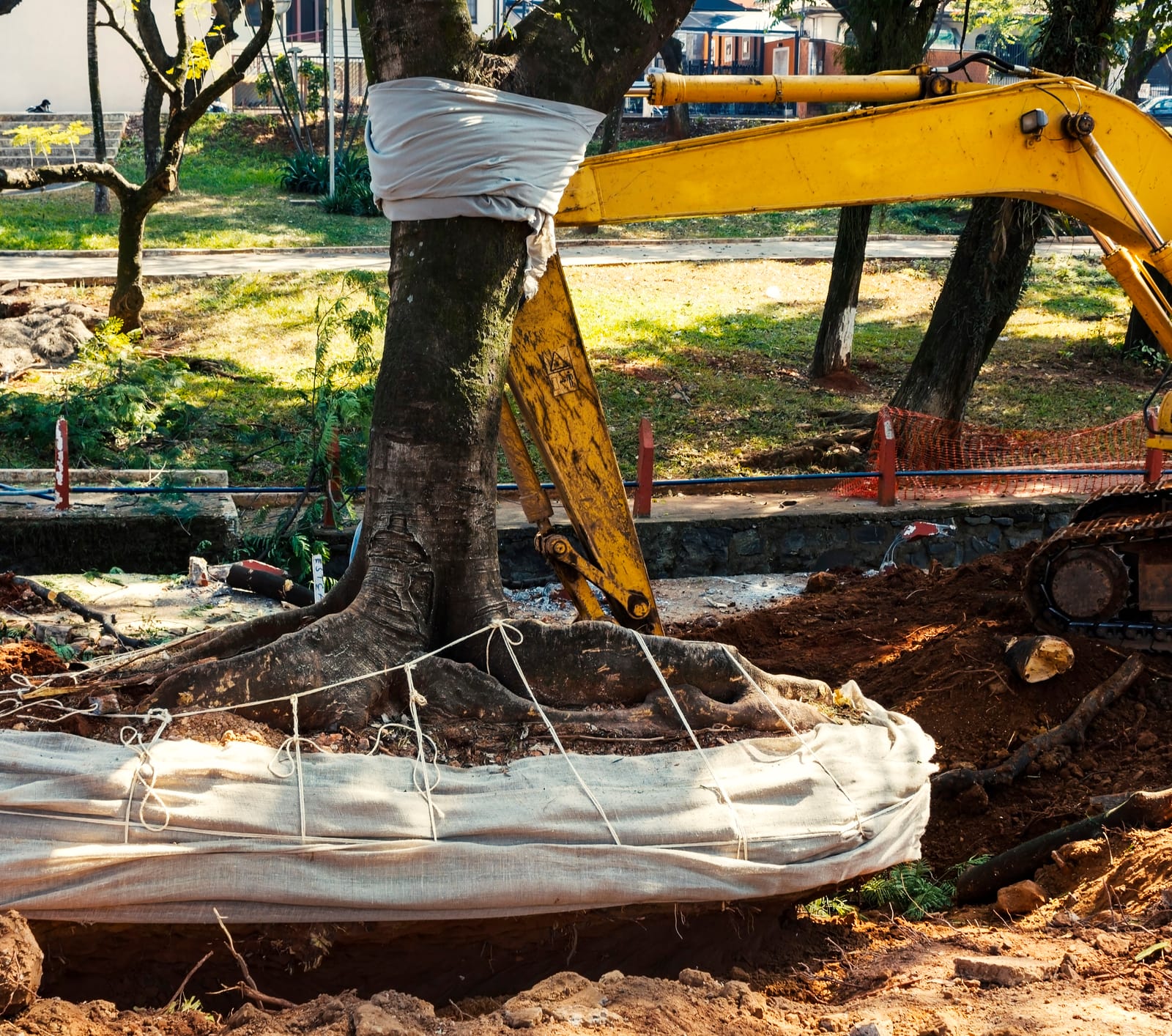 Does Homeowners Insurance Cover Tree Removal After A Storm Valuepenguin
