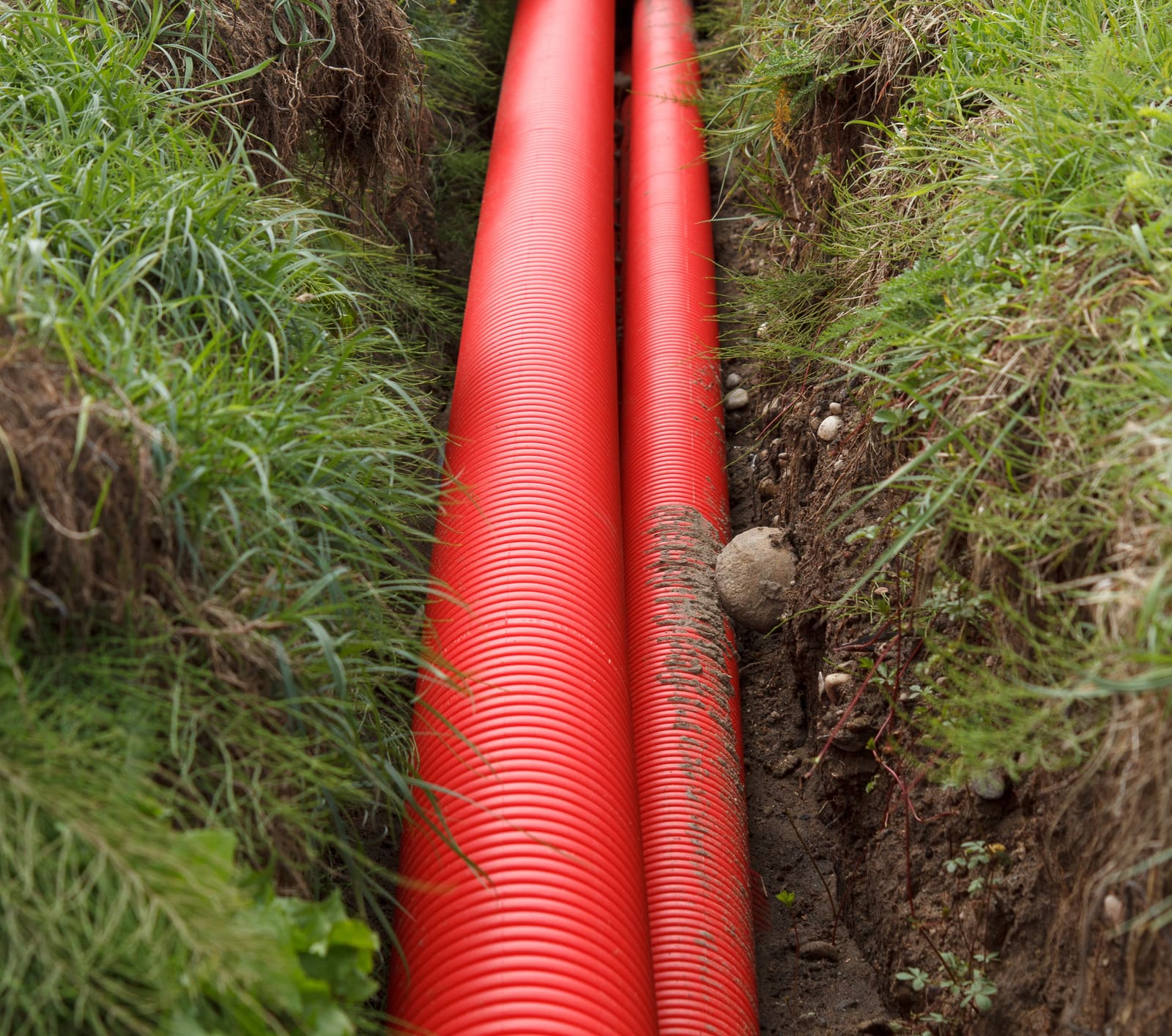 Does Homeowners Insurance Cover Sewer Lines Valuepenguin