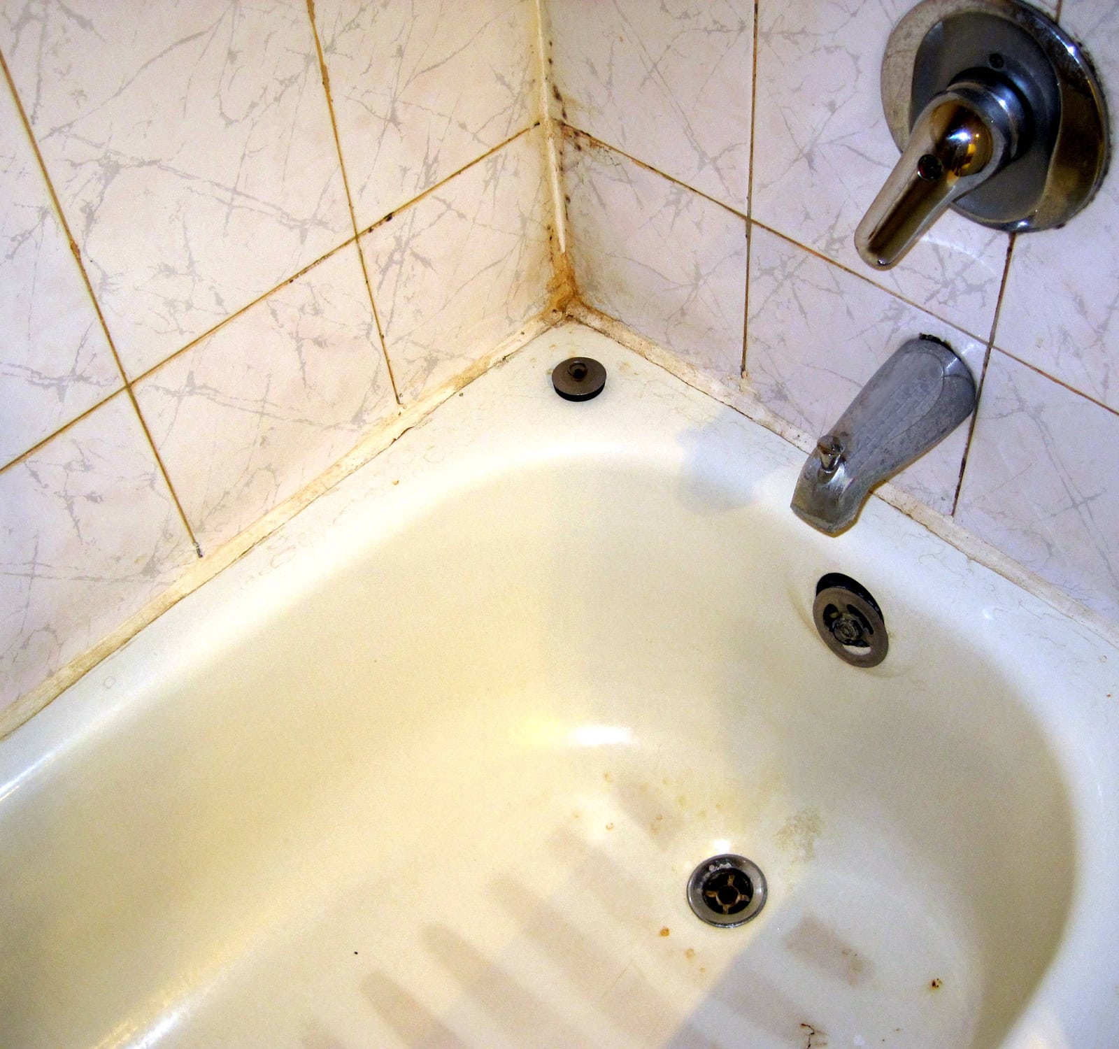 Does Renters Insurance Cover Mold Valuepenguin