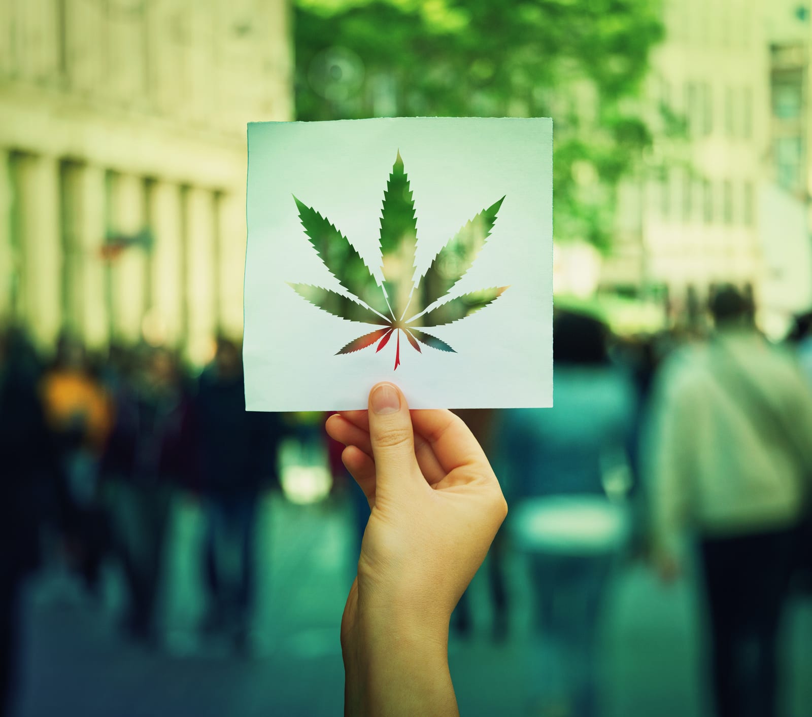 8 things to know about marijuana and your insurance valuepenguin