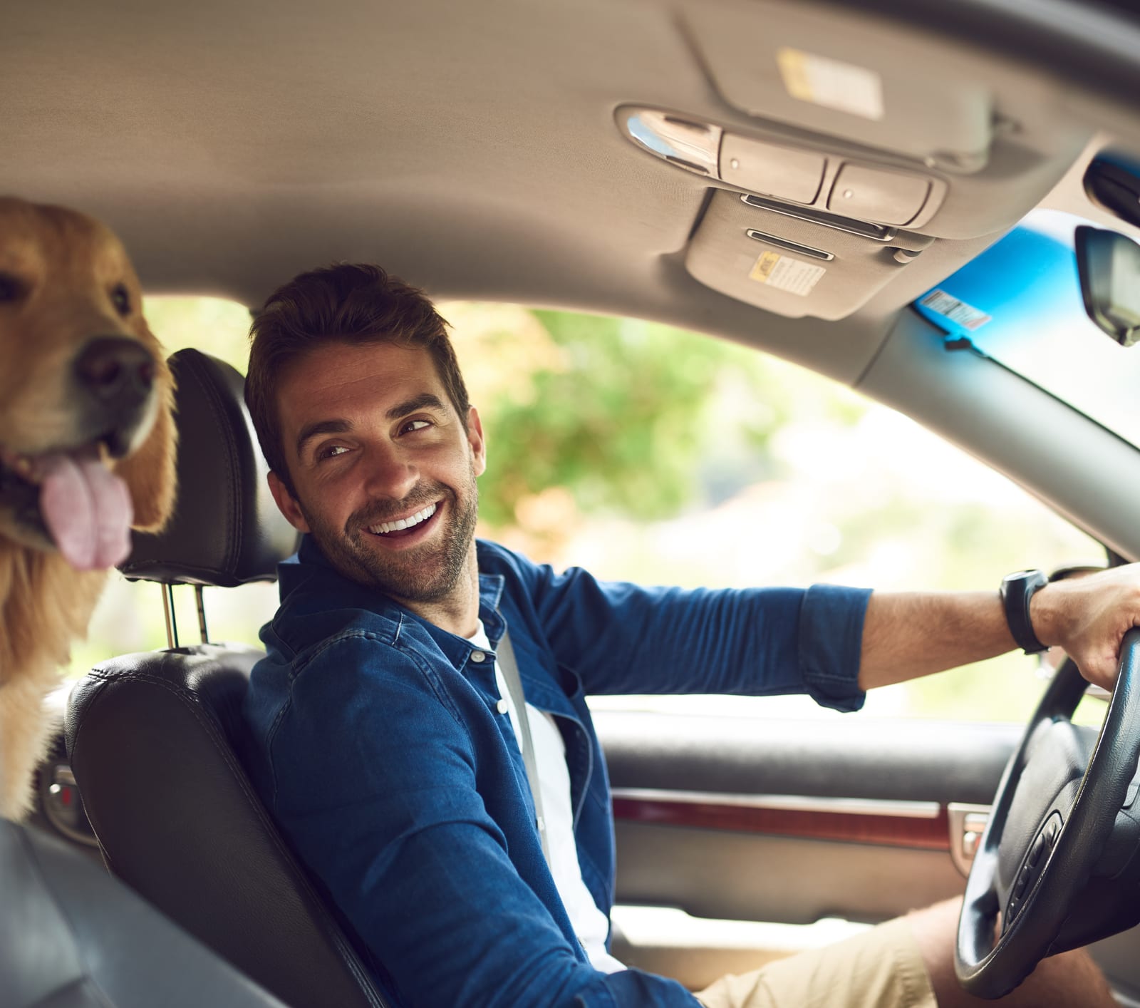 Who Has The Cheapest Auto Insurance Quotes In Utah Valuepenguin